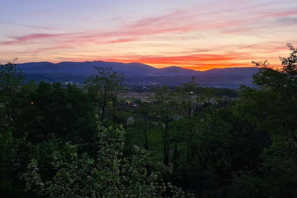 Gite De 70M² Avec Vue Sur Le Massif Du Pilat Clonas-sur-Vareze Екстер'єр фото