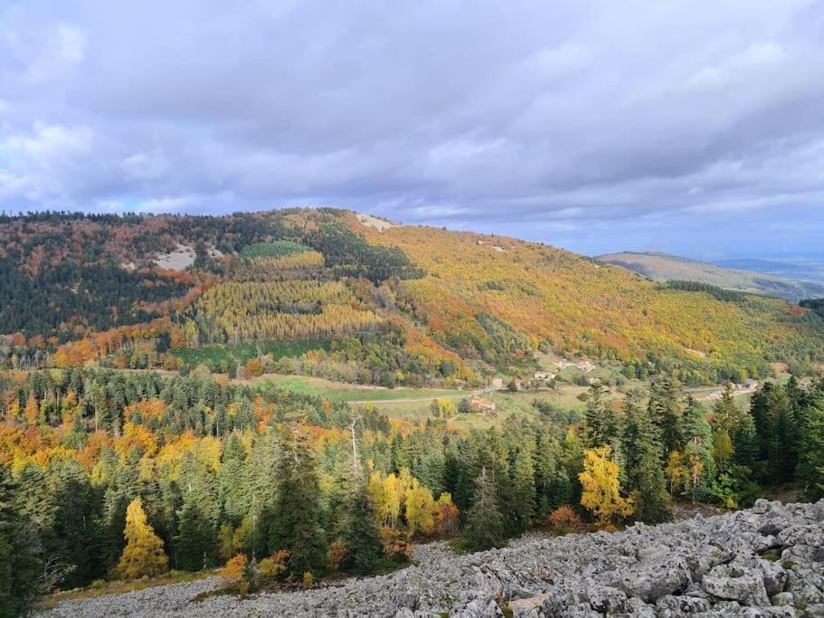 Gite De 70M² Avec Vue Sur Le Massif Du Pilat Clonas-sur-Vareze Екстер'єр фото