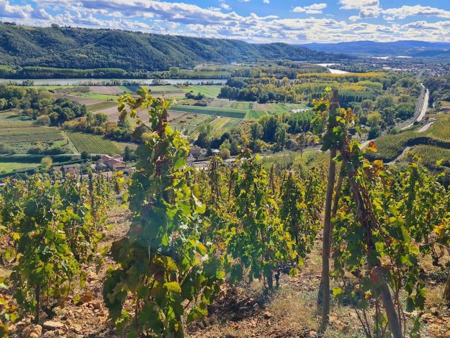 Gite De 70M² Avec Vue Sur Le Massif Du Pilat Clonas-sur-Vareze Екстер'єр фото