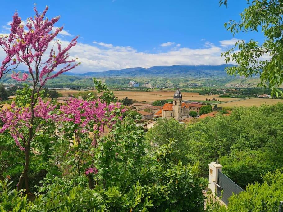 Gite De 70M² Avec Vue Sur Le Massif Du Pilat Clonas-sur-Vareze Екстер'єр фото